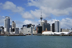 Metropolitan Prints: Skyline of downtown Auckland, Auckland, New Zealand