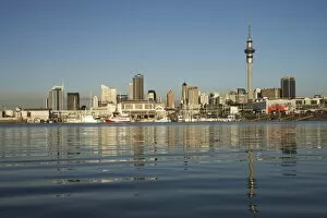 Skytower and Auckland Central Business District, St Marys Bay, Auckland, North Island, New Zealand