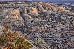 Slickrock, Escalante, Utah