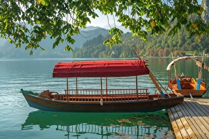 Slovenia Prints: Slovenia, Bled, Lake Bled. Close-up of traditional wooden flat-bottom boats