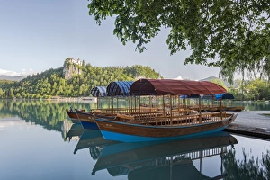 Images Dated 12th October 2017: Slovenia, Bled, Lake Bled, Plenta Boats