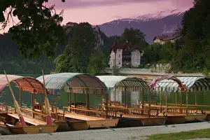Gorenjska Prints: SLOVENIA-GORENJSKA-Bled: Lake Bled Gondolas (pletni) from Mlino Village / Dusk