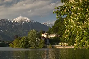 Images Dated 25th May 2004: SLOVENIA-GORENJSKA-Bled: Lake Bled View from Mlino Village