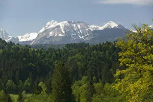 Images Dated 26th May 2004: SLOVENIA-GORENJSKA-Bohinjska Bistrica: View of Julian Alps