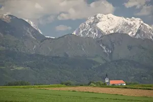 Gorenjska Prints: SLOVENIA-GORENJSKA-Moste: Church & Field with Kamnik-Savinja Alps / Summer