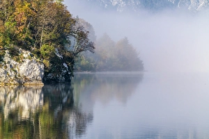 Slovenia Prints: Slovenia, Lake Bohinj. Foggy morning on lake