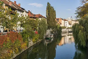 Images Dated 9th October 2017: Slovenia, Ljubljana. Vines and trees provide a lush urban corridor along the Ljubljanica River