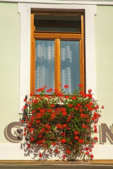 Slovenia Prints: Slovenia, Randovljika. Window and flower box in town