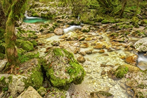 Soca River Prints: Slovenia, Triglav National Park
