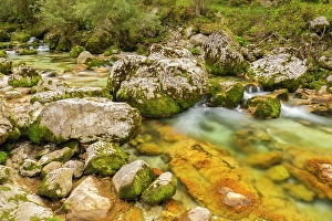 Slovenia Prints: Slovenia, Triglav National Park