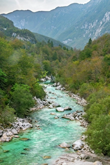 Slovenia Prints: Slovenia, Triglav National Park