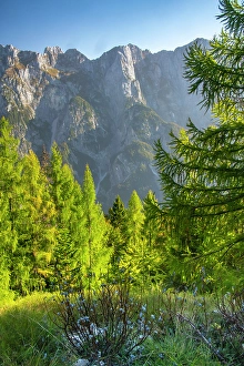 Slovenia Prints: Slovenia, Triglav National Park