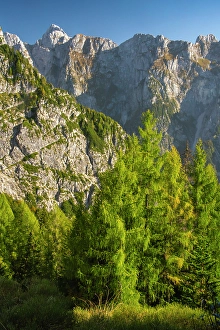 Slovenia Prints: Slovenia, Triglav National Park