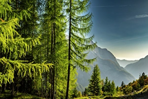 Slovenia Prints: Slovenia, Triglav National Park
