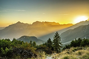 Slovenia Prints: Slovenia, Triglav National Park