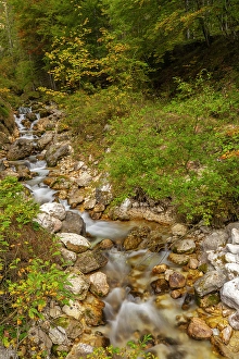 Slovenia Prints: Slovenia, Triglav National Park