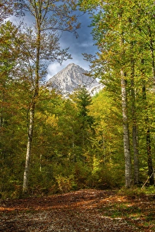 Slovenia Prints: Slovenia, Triglav National Park