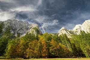 Slovenia Prints: Slovenia, Triglav National Park