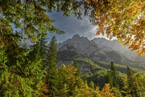 Slovenia Prints: Slovenia, Triglav National Park