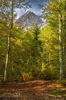Slovenia Prints: Slovenia, Triglav National Park