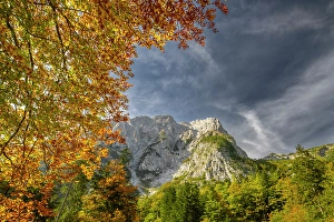 Slovenia Prints: Slovenia, Triglav National Park
