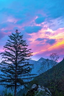 Slovenia Prints: Slovenia, Triglav National Park