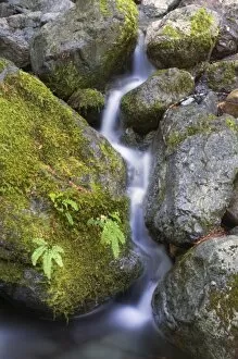 Small cascading waterfall near Upper Myra falls, Strathcona Provincial park, Vancouver Island