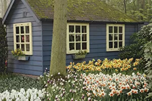 Images Dated 24th April 2008: Small cottage flower shop, Keukenhof Gardens, Lisse, Netherlands