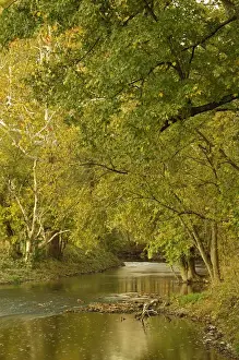 Lexington Prints: Small creek at sunrise, Bluegrass region near Lexington, Kentucky