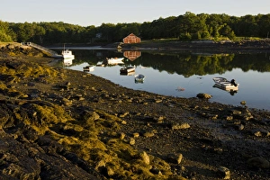 Watercraft Prints: A small harbor in Blue Hill Falls, Maine