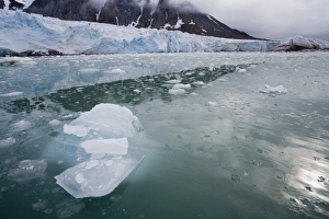 Melt Prints: Small ice pieces drifting in fiord near glacier, June, dark and cloudy sky