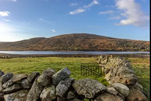 Irish Prints: Small lake with stone fence and sheep in pasture near Clifden, Ireland