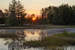 Wet Land Prints: Small lake at sunrise at Seney National Wildlife Refuge in the UP of Michigan