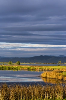 Mission Valley Prints: Small pond reflects the clouds at sunrise in the Ninepipe WMA in the Mission Valley