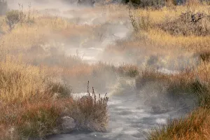 Images Dated 5th August 2020: Small steaming hot spring running through meadow of golden autumn grasses, Canary Spring