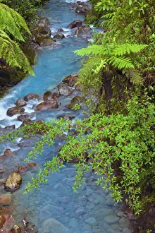 Images Dated 2nd January 2022: Small stream or creek, Costa Rica