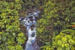 Images Dated 2nd January 2022: Small stream or creek, Costa Rica