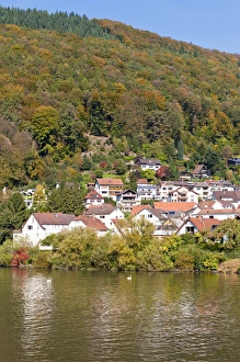 Cruising Prints: Small town on the Neckar River, Germany
