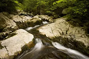Ledge Prints: A small tributary of the West branch of the Westfield River in Chester, Massachuetts