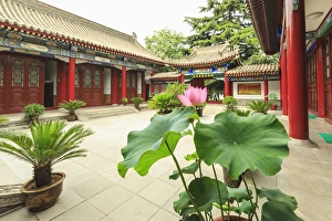 Images Dated 12th July 2015: Small Wild Goose Pagoda, Jianfu Temple, South Xi an, China