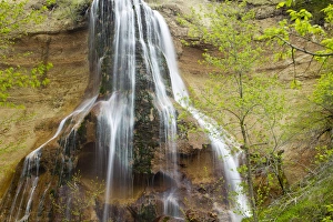 New Growth Prints: Smith Falls State Park in Cherry County, Nebraska, USA