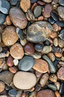 Pebble Prints: Smooth granite pebbles on beach of Lake Superior, Whitefish Point, Upper Peninsula