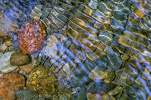 Images Dated 18th January 2024: Smooth river rocks beneath surface of small stream