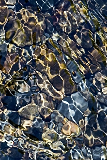 Pebble Prints: Smooth river rocks beneath surface of small stream