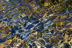 Pebble Prints: Smooth river rocks beneath surface of small stream