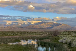 Snake Mountains reflecting into wetlands of Great Basin National Park, Nevada, USA
