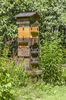 Snoqualmie, Washington State, USA. A Warre hive is a vertical top bar hive that uses