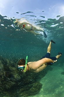 Images Dated 13th November 2007: Snorkelers, Cheleno Bay Snorkel Tour, Marine Preserve, aboard Tropicat, near Cabo San Lucas area