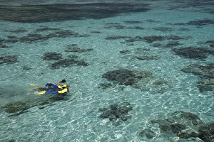Images Dated 8th October 2007: Snorkelers and Reef, Green Island, Great Barrier Reef Marine Park, North Queensland