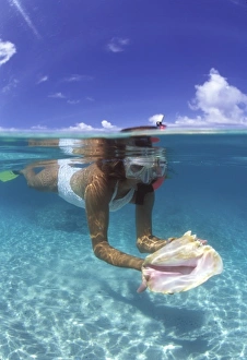 Images Dated 7th June 2007: Snorkeling in the blue waters of the Bahamas
